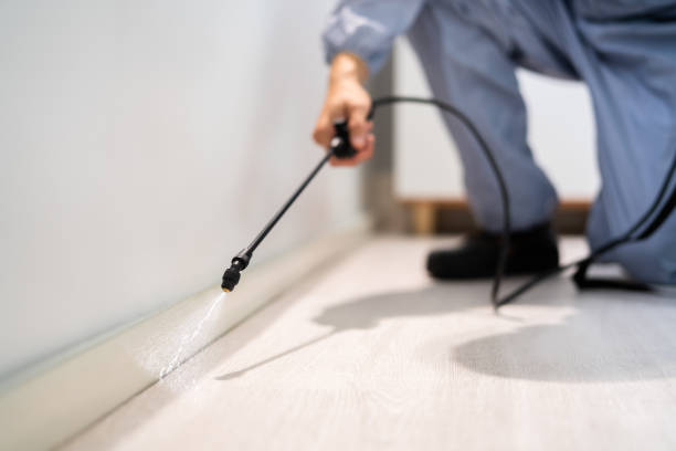 Licensed Pest Control service in Pleasant Valley, WV - Show Me Pest Control