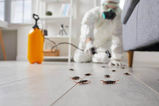 Commercial Kitchen Cockroach Control in Pleasant Valley